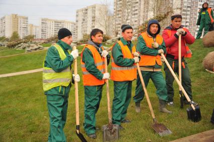 Москва.  Рабочие во время высадки деревьев в рамках программы `Моя улица` вдоль Каширского шоссе.