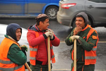 Москва.  Рабочие во время высадки деревьев в рамках программы `Моя улица` вдоль Каширского шоссе.