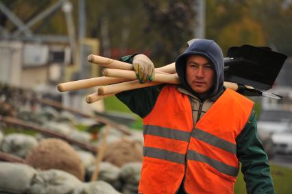 Москва.  Рабочие во время высадки деревьев в рамках программы `Моя улица` вдоль Каширского шоссе.