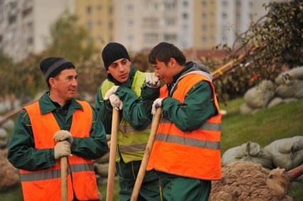 Москва.  Рабочие во время высадки деревьев в рамках программы `Моя улица` вдоль Каширского шоссе.