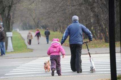 Москва.  Усадьба Кусково.   Мужчина с ребенком переходят дорогу по пешеходному переходу.