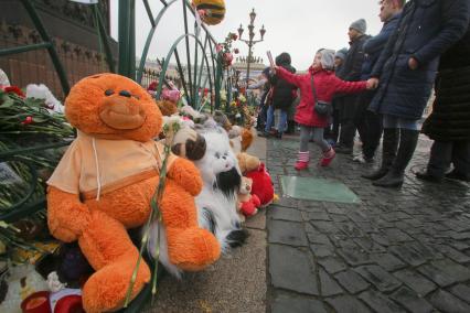 Санкт-Петербург. Люди приносят цветы и свечи на Дворцовую площадь в память о жертвах авиакатастрофы самолета Airbus A321. Самолет авиакомпании `Когалымавиа`, выполнявший рейс Шарм эш-Шейх - Санкт-Петербург, на борту которого находились 224 человека, разбился на севере Синайского полуострова утром 31 октября.