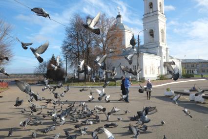 г.Таруса. Собор Петра и Павла.