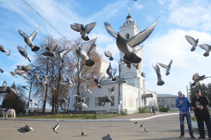 г.Таруса. Собор Петра и Павла.