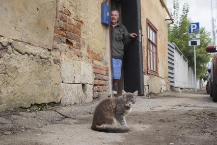 Тула. Кот сидит на тротуаре возле жилого дома.