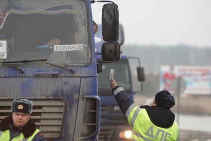 Екатеринбург. Сотрудники ДПС проверяют документы у водителя грузовой фуры во время акции протеста дальнобойщиков против платного проезда по федеральным трассам.