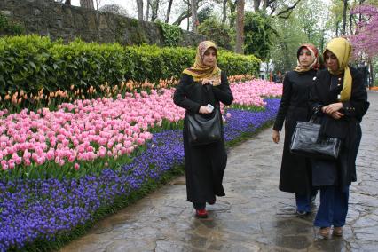 Турция, Стамбул. Местные жительницы гуляют в парке.