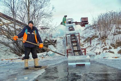 Свердловская область. п.Северка. Рабочий во время заготовки блоков льда для строительства ледового городка.