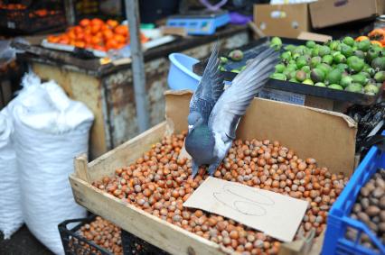 Абхазия. Сухум. Продажа фундука и наглый голубь на рынке.