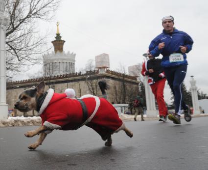 Москва. Участники благотворительного забега Дедов Морозов `Happy Run` на ВДНХ.