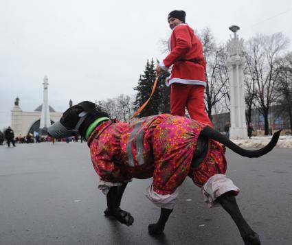 Москва. Участники благотворительного забега Дедов Морозов `Happy Run` на ВДНХ.