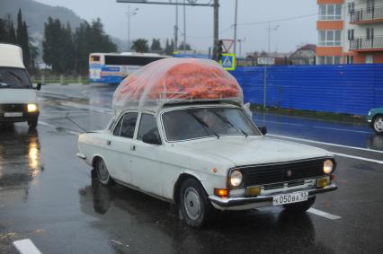 Сочи. Адлер. Мужчина везет абхазские мандарины на крыше автомобиля.