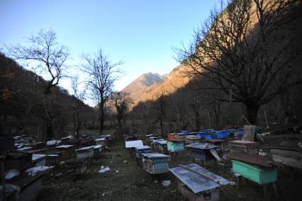 Абхазия. Кодорское ущелье. с.Ажара. Пчелиное хозяйство местных жителей - сванов.