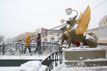 Санкт-Петербург. Львиный мост.