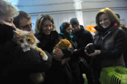 Москва. Выставка животных их приюта `Домой!` в Центре творческих индустрий \'Фабрика\' .