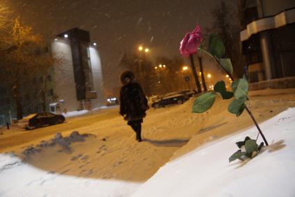 Екатеринбург. Роза в сугробе.