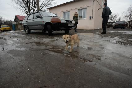 Украина. Луганская область. Село Хрящеватое под Луганском. Восстановленный дом, пострадавший в результате обстрела.