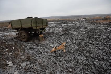 Украина. Донецкая область. Боевые позиции ополченцев ДНР.