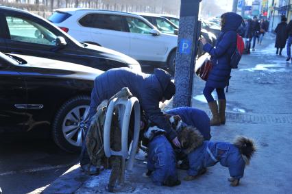 Москва. Хозяин собак привязывает своих питомцев к стойке для велосипедов.