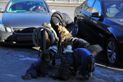 Москва. Хозяин собак привязывает своих питомцев к стойке для велосипедов.