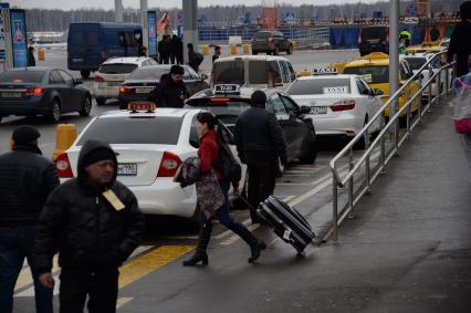 Московская область. Такси на территории аэропорта Домодедово.