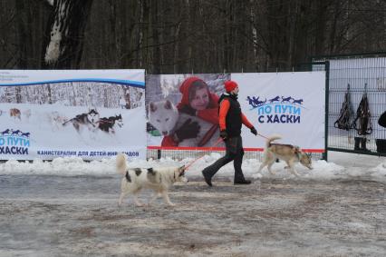 Москва.  Перед началом гонок на собачьих упряжках в рамках реабилитационно-образовательной программы `По пути с хаски` в парке Сокольники.