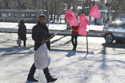 День Святого Валентина в Барнауле. Мужчина с пакетом и воздушными шариками `сердечками` идет по улице.