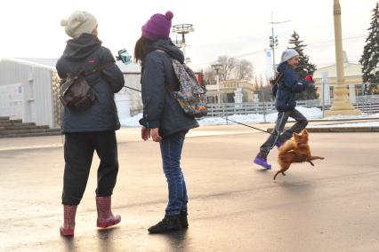 Москва.  Девочки гуляют с собакой на ВДНХ.