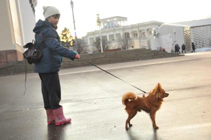 Москва. Девочка гуляет с собакой на ВДНХ.