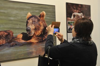 Москва. Посетительница на фотовыставке,  открывшейся в рамках III Общероссийского фестиваля природы `Первозданная Россия`, в Центральном Доме Художника.