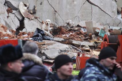 Ярославль. Разбор завалов на месте взрыва бытового газа в доме на ул. 6-й Железнодорожной.