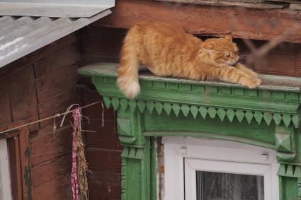 Тула. Кошка сидит на окошке.