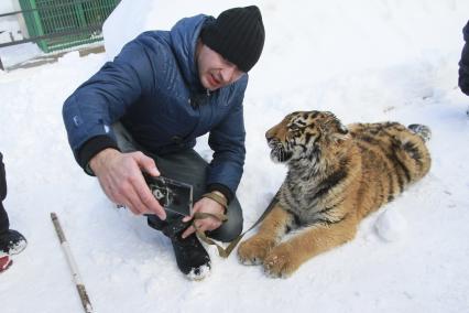 Барнаул. Мужчина фотографируется с тигренком в зоопарке.