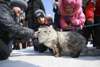 Барнаул. Дети гладят кота.