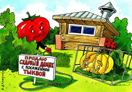 Карикатура. Продажа садового домика.