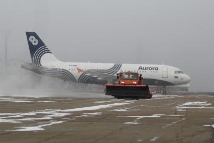 Иркутск. Самолет Airbus A319  авиакомпании AURORA  на взлетной полосе.