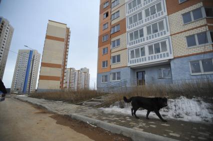 Московская область. Не введенные в эксплуатацию новостройки ЖК `Южное Домодедово`, от застройщика СУ-155 ,   где должны были жить 20 тысяч человек.