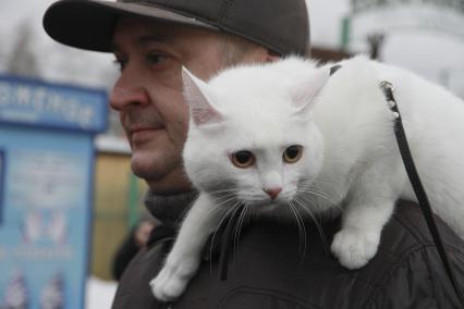 Барнаул. Кот,участник традиционного праздника Мартовских котов на плече у хозяина.