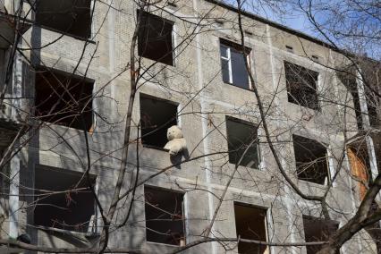 Москва. Забытый плюшевый медведь на окне пятиэтажки, подготовленной к сносу.