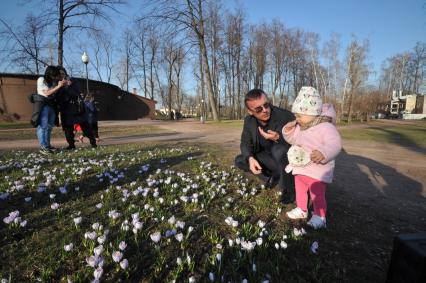 Москва. Мужчина с ребенком любуется распустившимися крокусами в парке Горького.