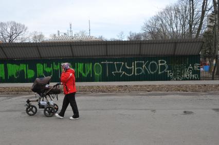 Москва.  Женщина с детской коляской   гуляет в  парке `Дубки`.