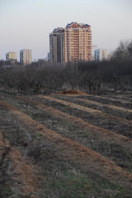 Москва. Поля принадлежащие  Тимирязевской селхозакадемии.