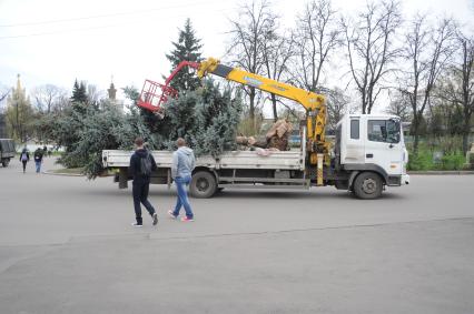 Москва. Посадка новых деревьев на территории   ВДНХ.