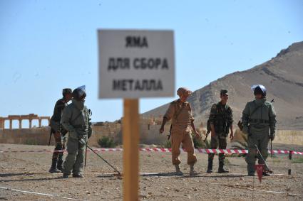 Сирия. Пальмира. Обучение сирийских солдат российскими военнослужащими поисковой тактике и обнаружению взрывных устройств.