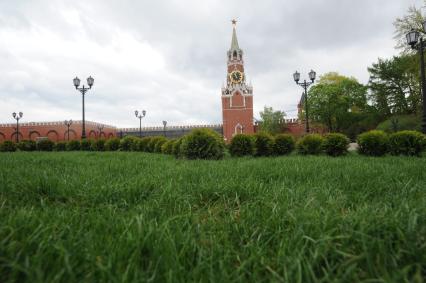 Москва.  На месте снесенного 14-го корпуса в Кремле открылся парк с видом на Спасскую башню.