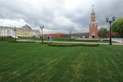 Москва.  На месте снесенного 14-го корпуса в Кремле открылся парк с видом на Спасскую башню.