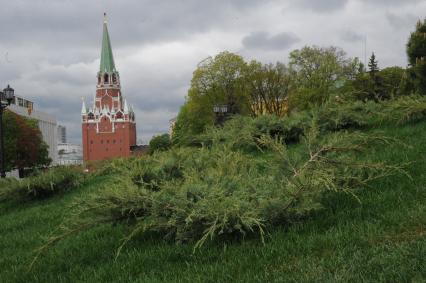 Москва.  На месте снесенного 14-го корпуса в Кремле открылся парк с видом на Спасскую башню.