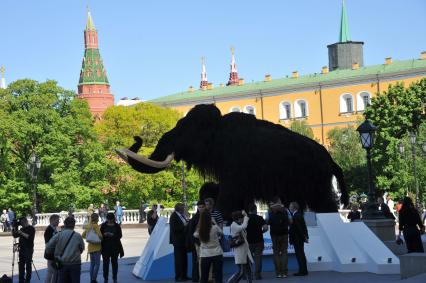 Москва. Фигуры мамонта и мамонтенка, установленные возле Центрального выставочного зала `Манеж` в рамках проведения международного фестиваля `Интермузей`.