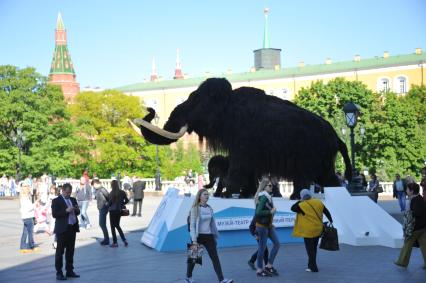 Москва. Фигуры мамонта и мамонтенка, установленные возле Центрального выставочного зала `Манеж` в рамках проведения международного фестиваля `Интермузей`.