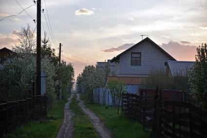 Новосибирск.  Дачный участок в мае.